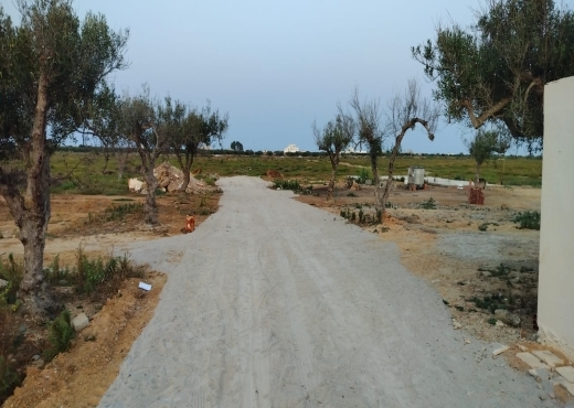 520m hamammet sud klm 71