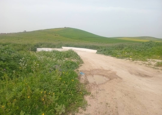 للبيع قطع أرض في سيدي ثابت-شرفش