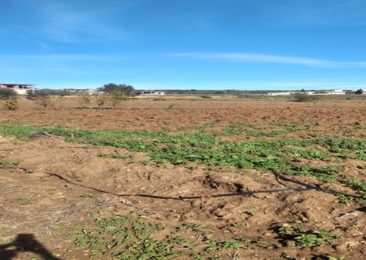 Terrain agricole constructible à Ghar El Melh