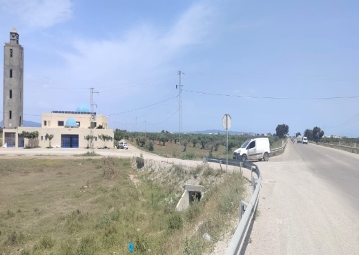 terrain a vendre klm 71 hamammet sud