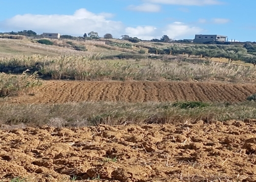 Terrain agricole, Route Ras Jebel ↔ Rafraf