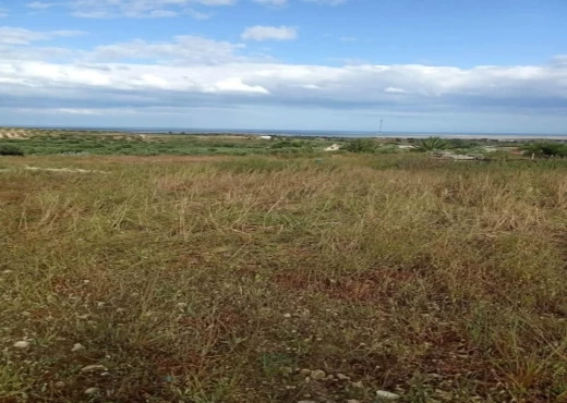 terrain À Vendre à SOUSSE - terrain agricole à vendre - Immobiliere.tn
