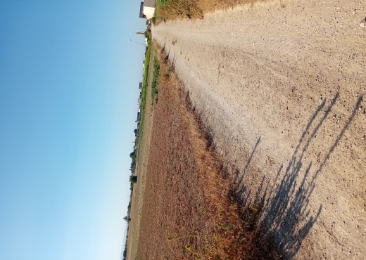 Terrain à vendre ariana