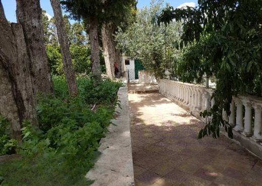 Maison de campagne 5000 m²  Ras je