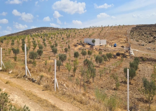 Terrain agricole lansarine tborba