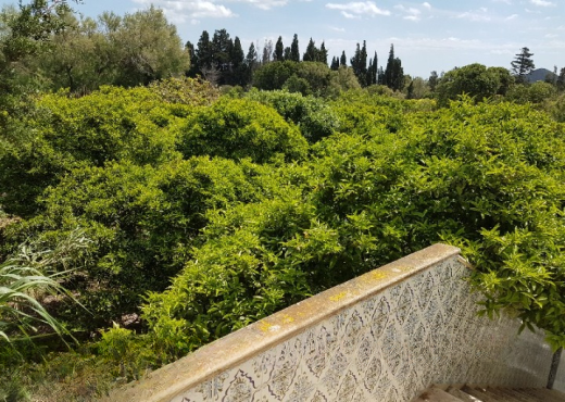 Maison de campagne 5000 m²  Ras je