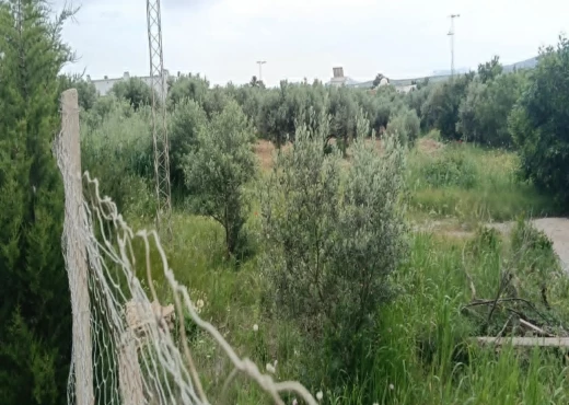 terrain À Vendre à ZAGHOUAN - terrain à vendre comprenant une villa - Immobiliere.tn - Photo 6