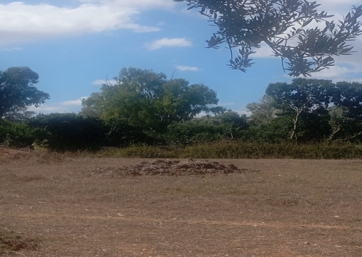 Terrain 1945 m² à Cap Zbib 🌊