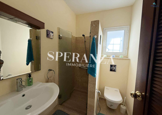 Location villa Falloni S+3