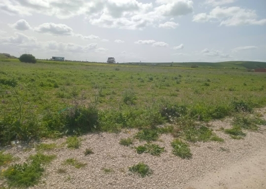 للبيع قطع أرض في سيدي ثابت-شرفش