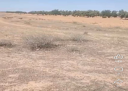 terrain À Vendre à SIDI BOUZID - Vente d'un terrain agricole - Immobiliere.tn