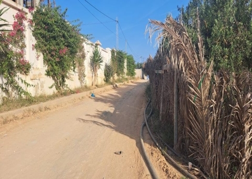 AV 155m kharoub bareket essahel