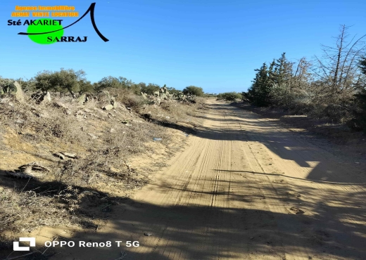 terrain À Vendre à SOUSSE - A Vendre Terrain à Hergla - Immobiliere.tn - Photo 2