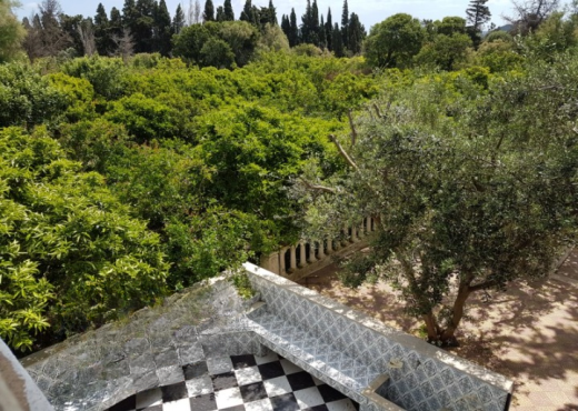 Maison de campagne 5000 m²  Ras je