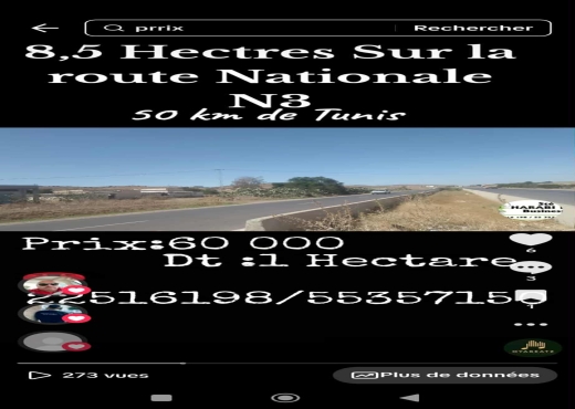 8.5 hectares Idéal pour agricole e