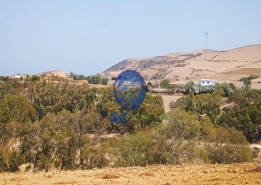 🌾 Terrain 4000 m² à Garia – Metline | Agricole