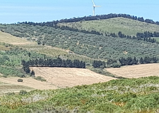 terrain À Vendre à BIZERTE - Terrain de 1930m² à vendre à ghar - Immobiliere.tn