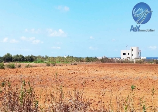 🌊 Terrain 1000 m² à Borj Salhi – Vue mer