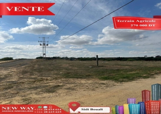 Terrain Agricole à Sidi Bouali près de l'autoroute