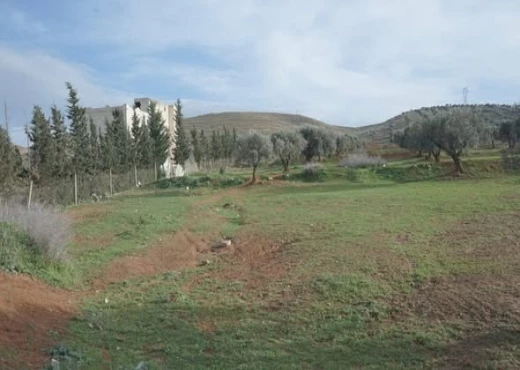 terrain À Vendre à ARIANA - A vendre un très beau terrain  à Sidi Thabet - Immobiliere.tn - Photo 2