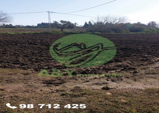 terrain À Vendre à BIZERTE - 🌿🌳 Terrain agricole à vendre – Gharel Melh 🌳🌿 - Immobiliere.tn - Photo 9