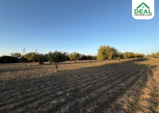terrain À Vendre à SOUSSE - للبيع : أرض فلاحية - Immobiliere.tn - Photo 3