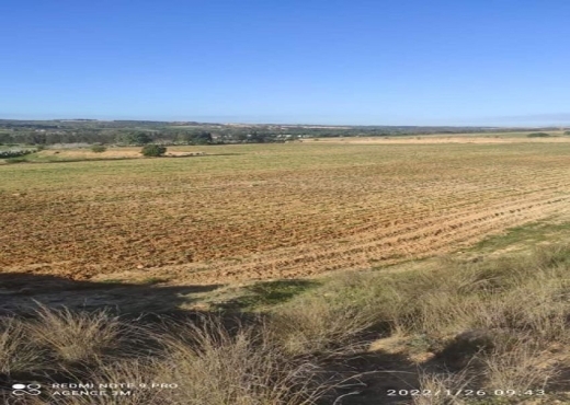 TERRAIN AGRICOLE 3M006/25