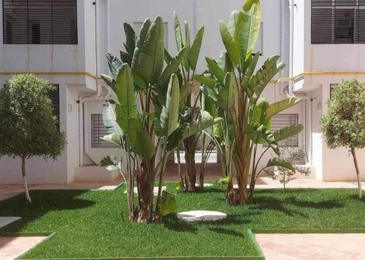 Vente d’appartements S+2 et S+3 modernes à Oued El