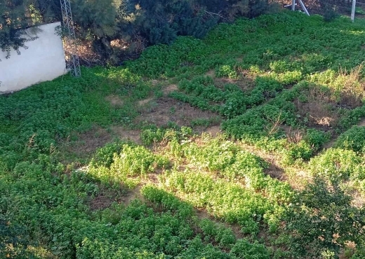 Une ferme  à Ras Jebel – Bizerte 🌾