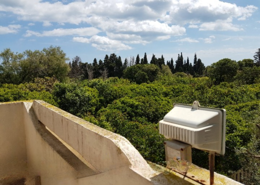 Maison de campagne 5000 m²  Ras je