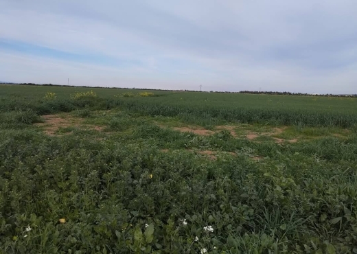 للبيع قطعة أرض جميلة جدا في موقع ممتاز