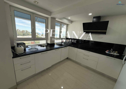 Location Appartement Daniel S+2