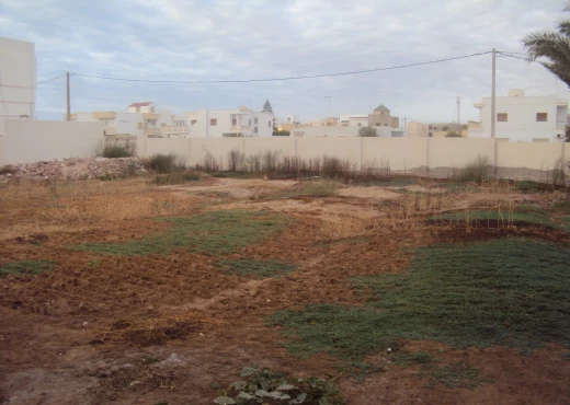 terrain À Vendre à SFAX - Terrain de 811 m² Route EL AIN - Immobiliere.tn