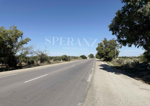 Vente Terrain Loukas