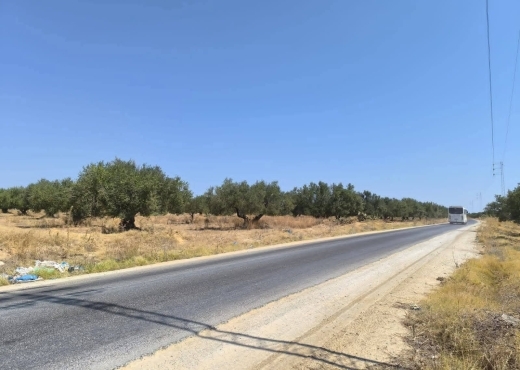 terrain À Vendre à MONASTIR - Terrain agricole a vendre à Moknine - Immobiliere.tn - Photo 3