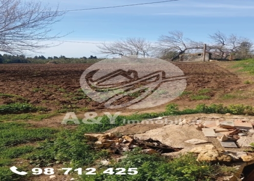 terrain À Vendre à BIZERTE - 🌿🌳 Terrain agricole à vendre – Gharel Melh 🌳🌿 - Immobiliere.tn - Photo 6