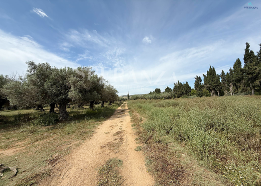 Vente Terrain Horizon