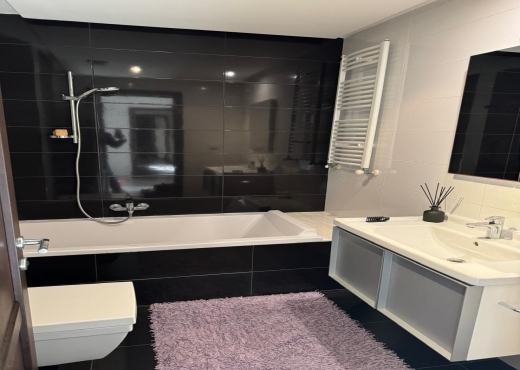 Coquette Appart S3 meublé au Lac 2