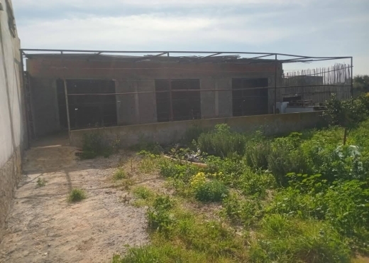 للبيع فيرمة لوز و زيتون و غلال أخرى