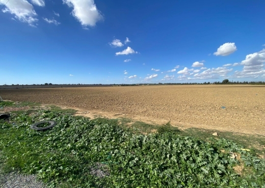 un superbe terrain agricole à sidi thabet