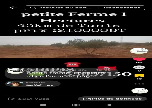 Une charmante petite ferme