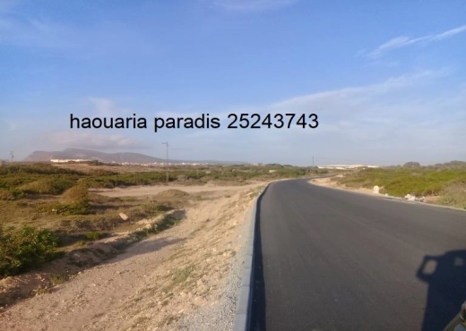 A vendre Des lots a Elhaouaria
