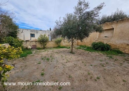 maison À Louer à NABEUL - MAISON RANA Hammamet AL3701 - Immobiliere.tn