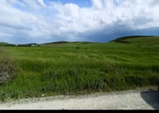 terrain À Vendre à ZAGHOUAN - terrain agricole à vendre - Immobiliere.tn