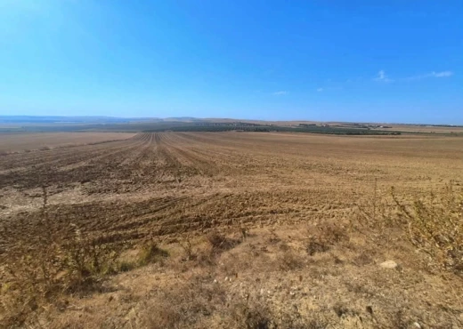 terrain À Vendre à BIZERTE - A vendre terrain agricole Menzel Bourguiba - Immobiliere.tn