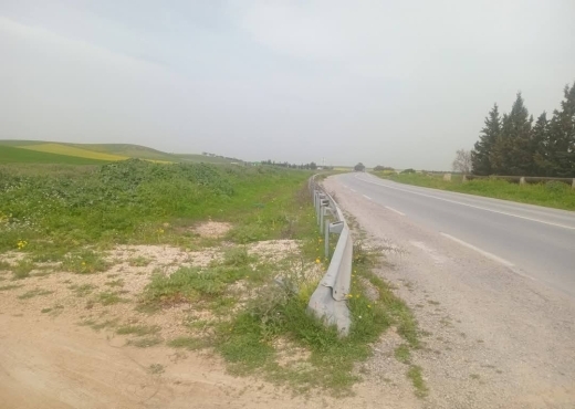 للبيع قطع أرض في سيدي ثابت-شرفش