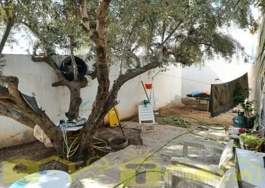 maison À Vendre à NABEUL - Une maison S+2 avec jardin - Immobiliere.tn - Photo 4