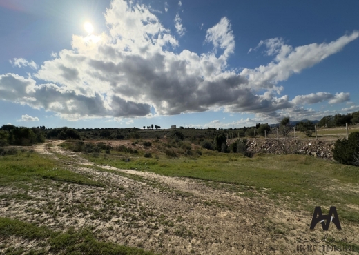 Terrain agricole de 2033 m² à Beni