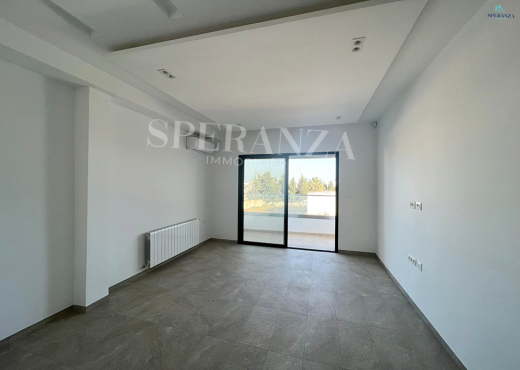 Location Appartement AFH S+3