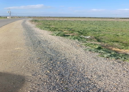 terrain À Vendre à ZAGHOUAN - TERRAIN AGRICOLE NU A VENDRE - Immobiliere.tn - Photo 3